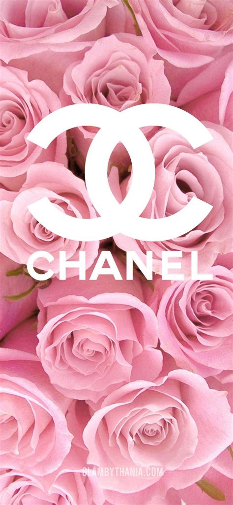 chanel pink wallpaper